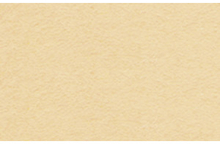 URSUS Картон окрашенный абрикосовый А4, 220 г на м2 (пачка 100 листов)