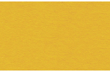 URSUS Картон окрашенный желтая кукуруза А4, 220 г на м2 (пачка 100 листов)