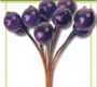 Stamperia Цветы для декорирования Фиолетовые ягоды 12 шт.