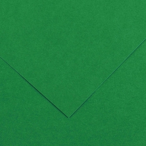 Canson Бумага цветная Colorline 150г/м.кв 50*65см №30 Зеленый мох 25л/упак