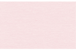 URSUS Заготовки для открыток A6 нежно-розовые, 190 г на м2, 10 шт.