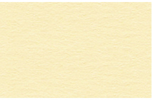 URSUS Картон окрашенный замша А4, 220 г на м2 (пачка 100 листов)