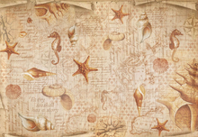 Stamperia Карта декупажная рисовая Морской мир сепия, 48х33 см, 28 г на м2