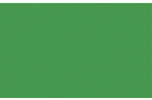 URSUS Заготовки для открыток A6 двойные со сгибом хвойный зеленый, 190 г на м2, 10 шт.