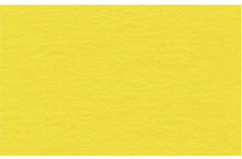 URSUS Заготовки для открыток 110х220 мм двойные со сгибом солнечно-желтые, 190 г на м2, 10 шт.