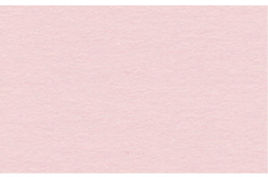 URSUS Заготовки для открыток 110х220 мм двойные со сгибом нежно-розовые, 190 г на м2, 10 шт.