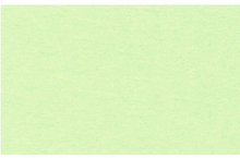 URSUS Заготовки для открыток 110х220 мм двойные со сгибом светло-зеленые, 190 г на м2, 10 шт.