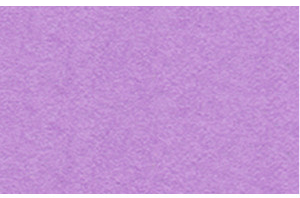 URSUS Заготовки для открыток 110х220 мм двойные со сгибом светло-лиловые, 190 г на м2, 10 шт.