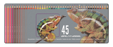 Bruynzeel Набор цветных карандашей "Хамелеон" 45цв в металлической коробке