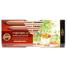 Набор цветных художественных карандашей TRIOCOLOR, 12 цв, трехгранный корпус, натуральное дерево