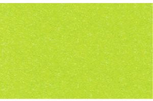 URSUS Заготовки для открыток A6 тропический зеленый, 190 г на м2, 10 шт.