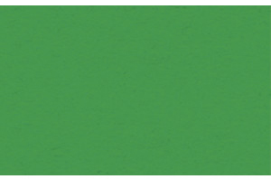 URSUS Заготовки для открыток A6 хвойный зеленый, 190 г на м2, 10 шт.