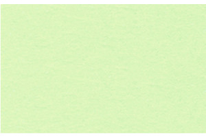 URSUS Заготовки для открыток 110х220 мм светло-зеленые, 190 г на м2, 10 шт.