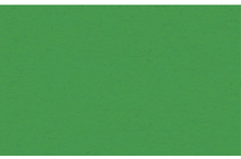URSUS Заготовки для открыток 110х220 мм хвойный зеленый, 190 г на м2, 10 шт.