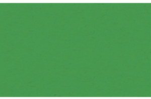 URSUS Заготовки для открыток 110х220 мм хвойный зеленый, 190 г на м2, 10 шт.