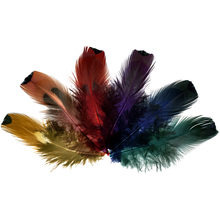 MEYCO перья фазана с золочением 6 цветов, 24 шт.