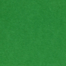 Fabriano Бумага цветная Colore 200г/м.кв 50x70см травяной 20л/упак