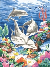 Набор для раскрашивания (карандаш): Дельфины в море, , 23х30 см