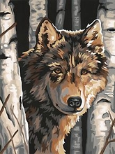 Набор для раскрашивания (акрил): Волк среди берез, 23х30 см