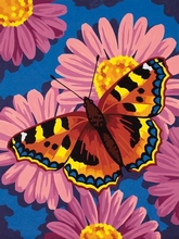 Набор для раскрашивания (акрил): Цветы и бабочки, 23х30 см
