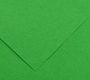Canson Бумага цветная Colorline 150г/м.кв 50*65см №29 Зеленый яркий 25л/упак