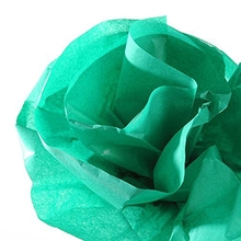 Canson Бумага шелковая 20г/м.кв 0.5*5м Зеленый папоротник в рулоне