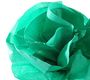 Canson Бумага шелковая 20г/м.кв 0.5*5м Зеленый папоротник в рулоне