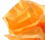 Canson Бумага шелковая 20г/м.кв 0.5*5м Оранжевый в рулоне