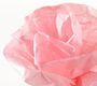 Canson Бумага шелковая 20г/м.кв 0.5*5м Розовый яркий в рулоне