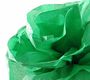 Canson Бумага шелковая 20г/м.кв 0.5*5м Зеленый яркий в рулоне