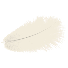 MEYCO перья страусиные белые, длина  20 см, 2 шт.