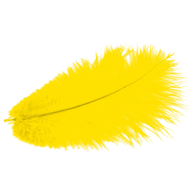 MEYCO перья страусиные желтые, длина  20 см, 2 шт.