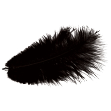 MEYCO перья страусиные черные, длина  20 см, 2 шт.