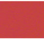 URSUS Заготовки для открыток A6 красные, 190 г на м 2, 10 шт.