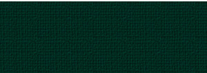 URSUS Бумага текстурная Basic I темно-зеленая, А4, 220 г на м2